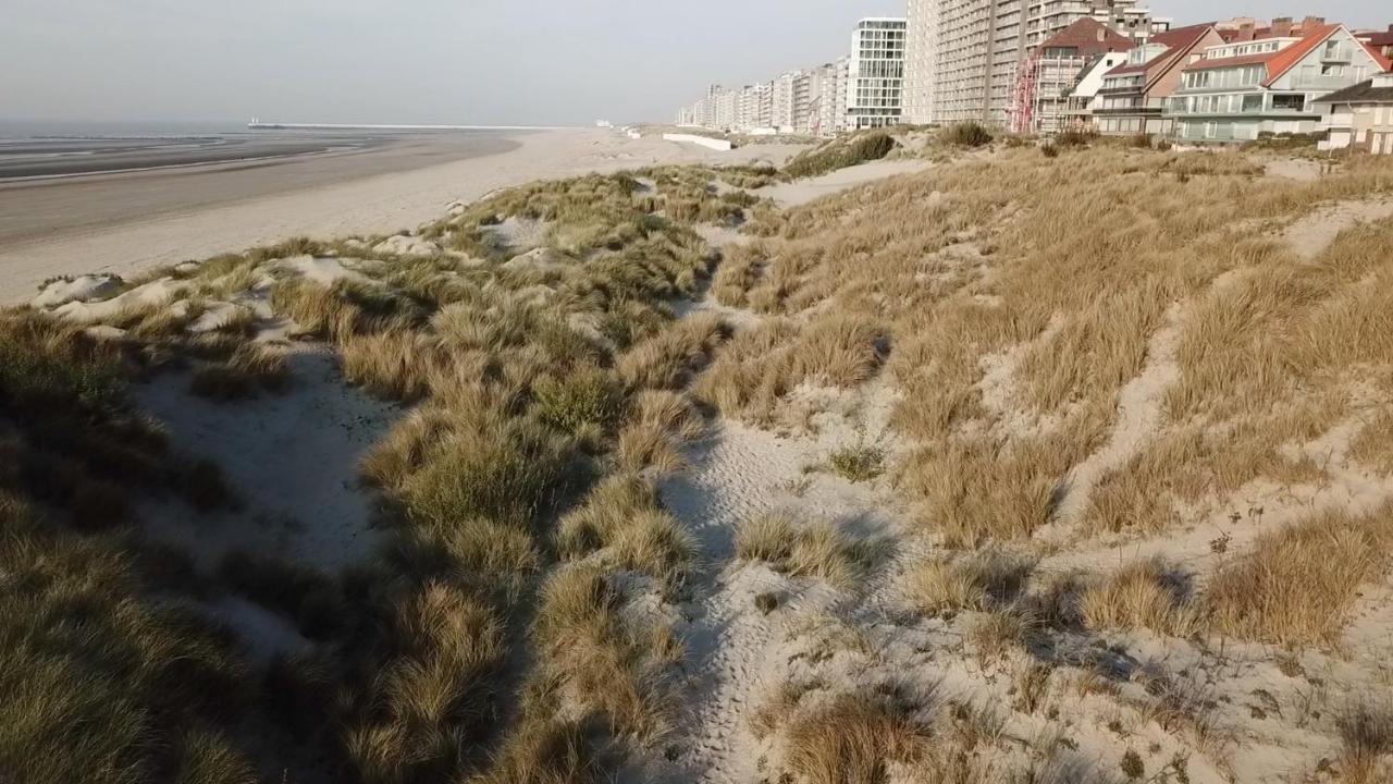 Per Sea Panzió Koksijde Kültér fotó